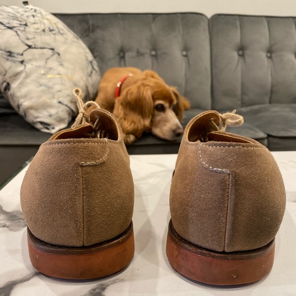 Cole Haan Suede Shoes Light Brown Size 11 - Picture 2 of 6